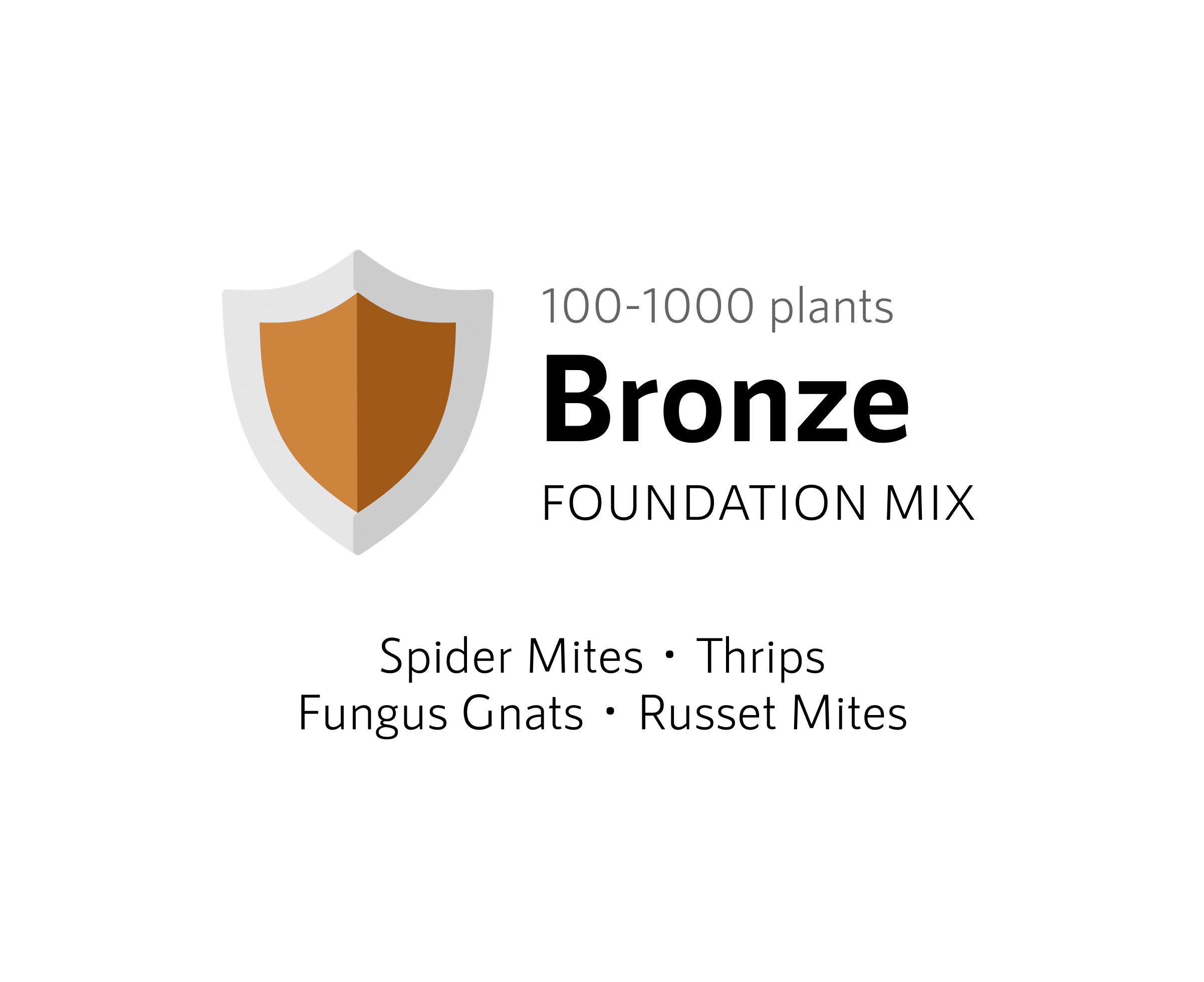 Bronze Bundle