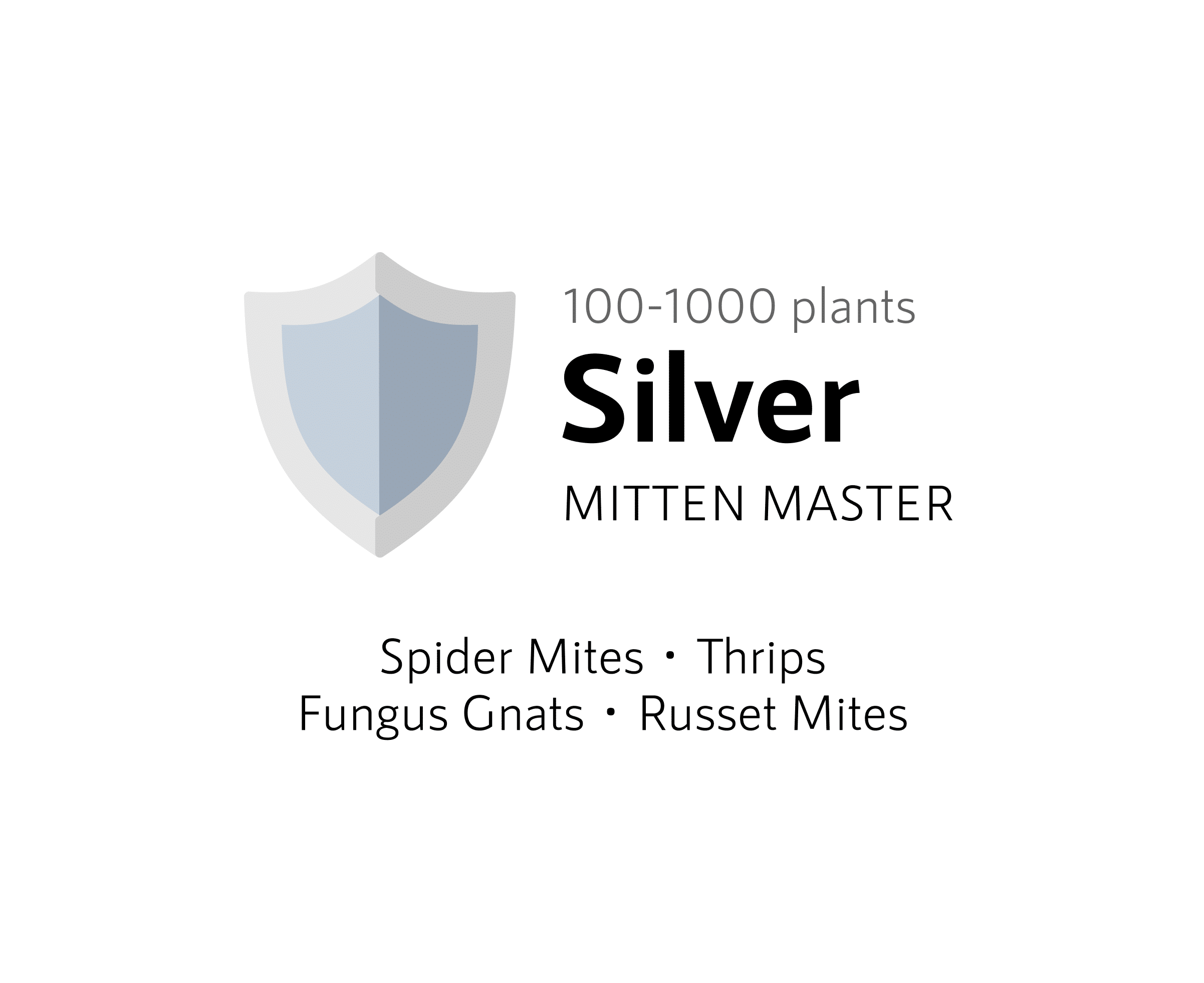 Silver Bundle